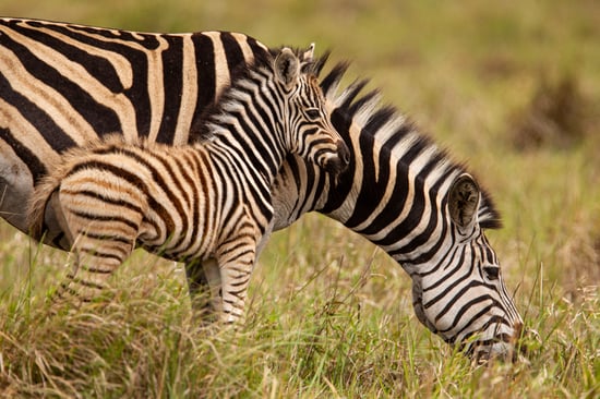 AdobeStock_327256943