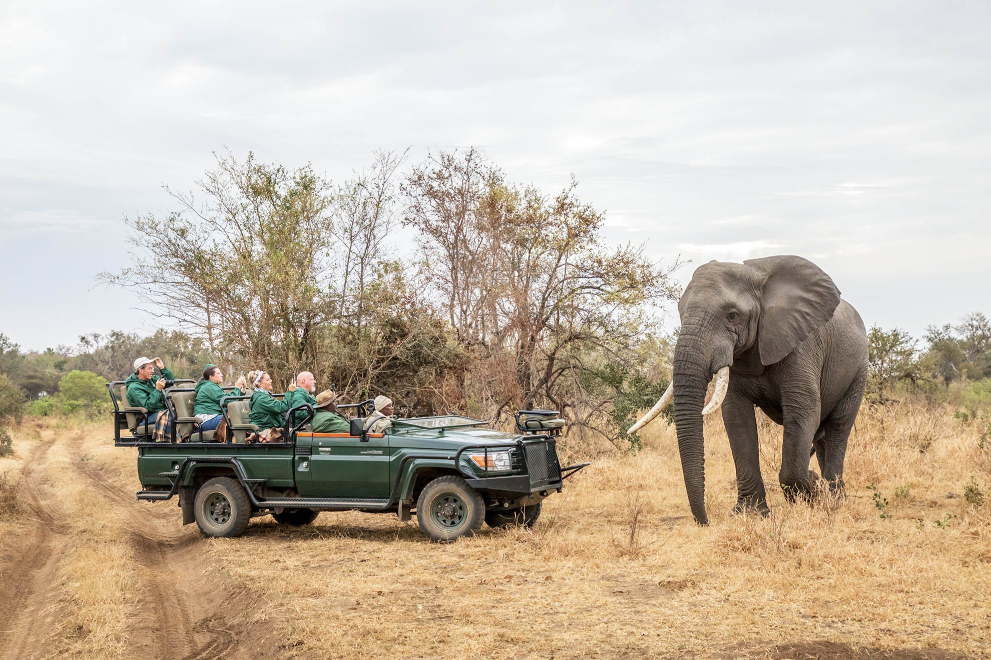 Karongwe-Game-Drive-11