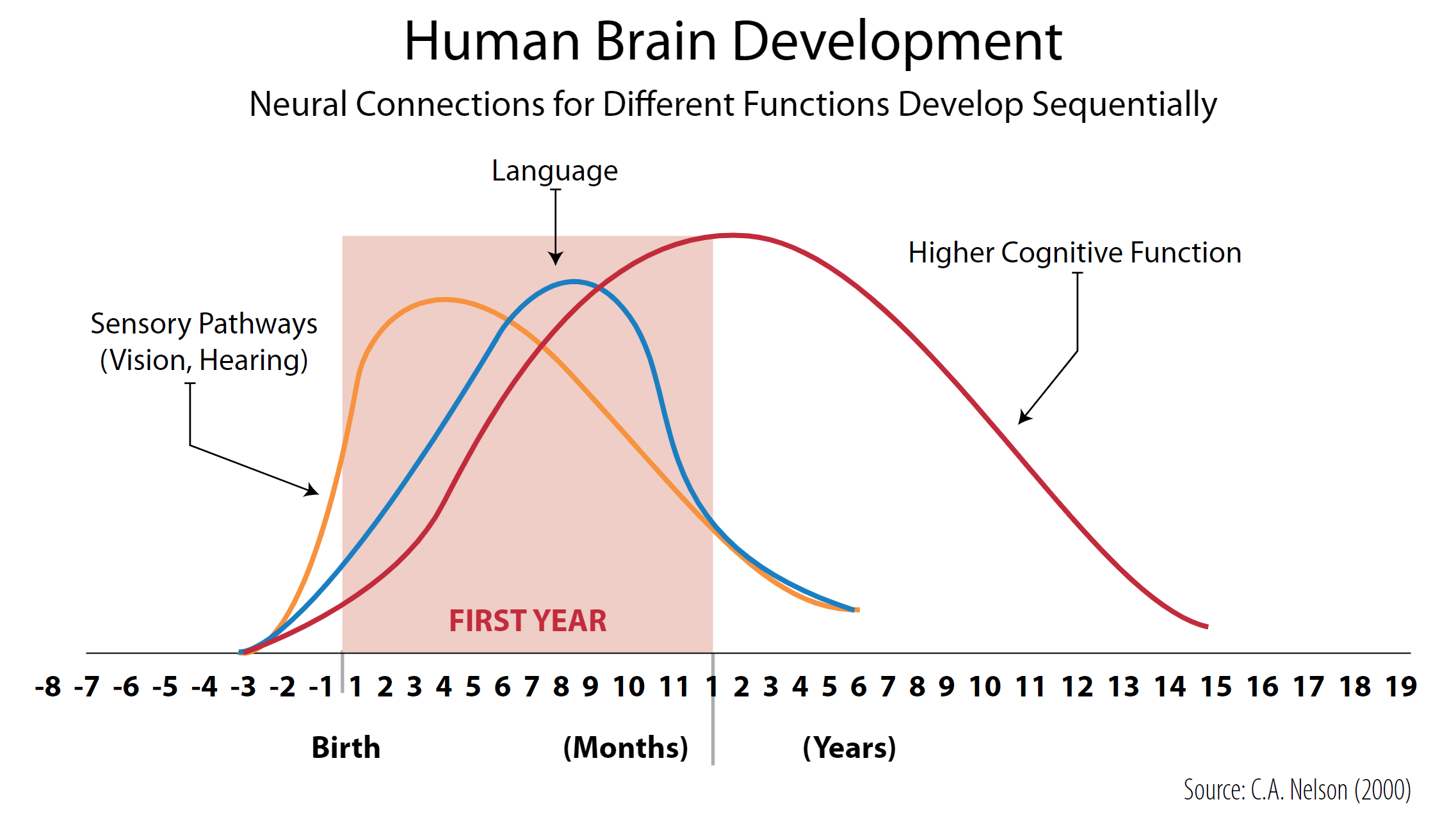 Home Languages in Early Childhood Development in South Africa
