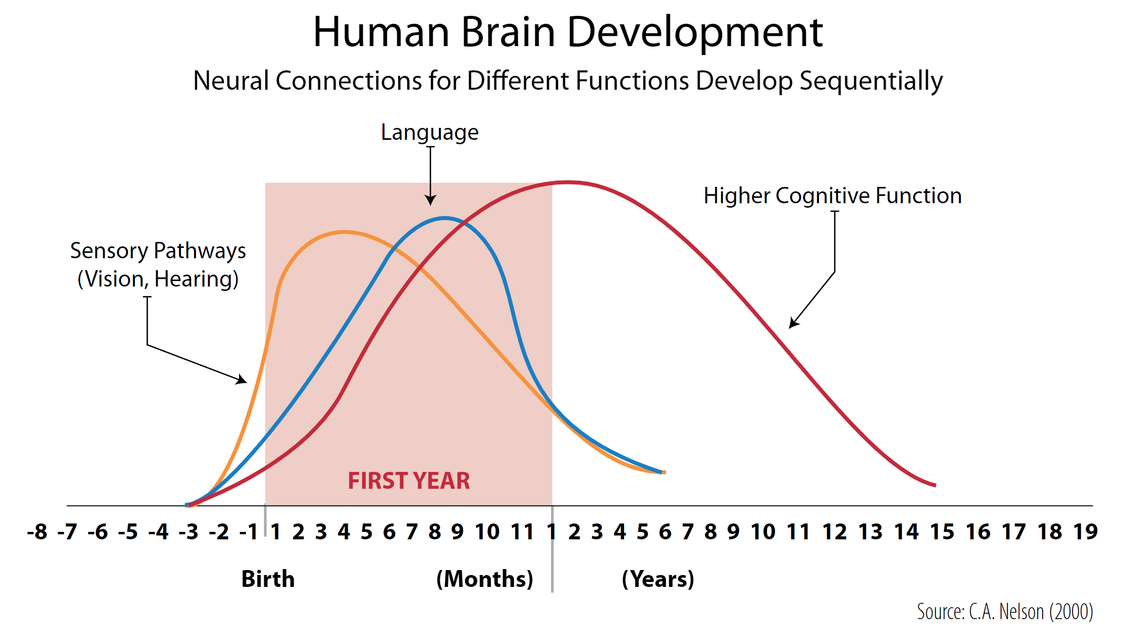 Language Development